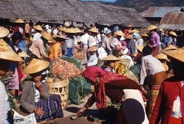 9D2AE20E-6E64-4222-8059-20DBE9247054_4_5005_c